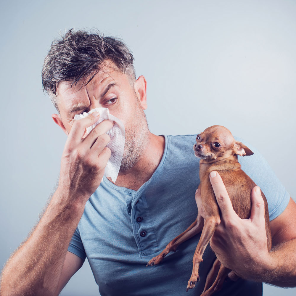 Alergia na psy – objawy, przyczyny i sposoby radzenia sobie z problemem