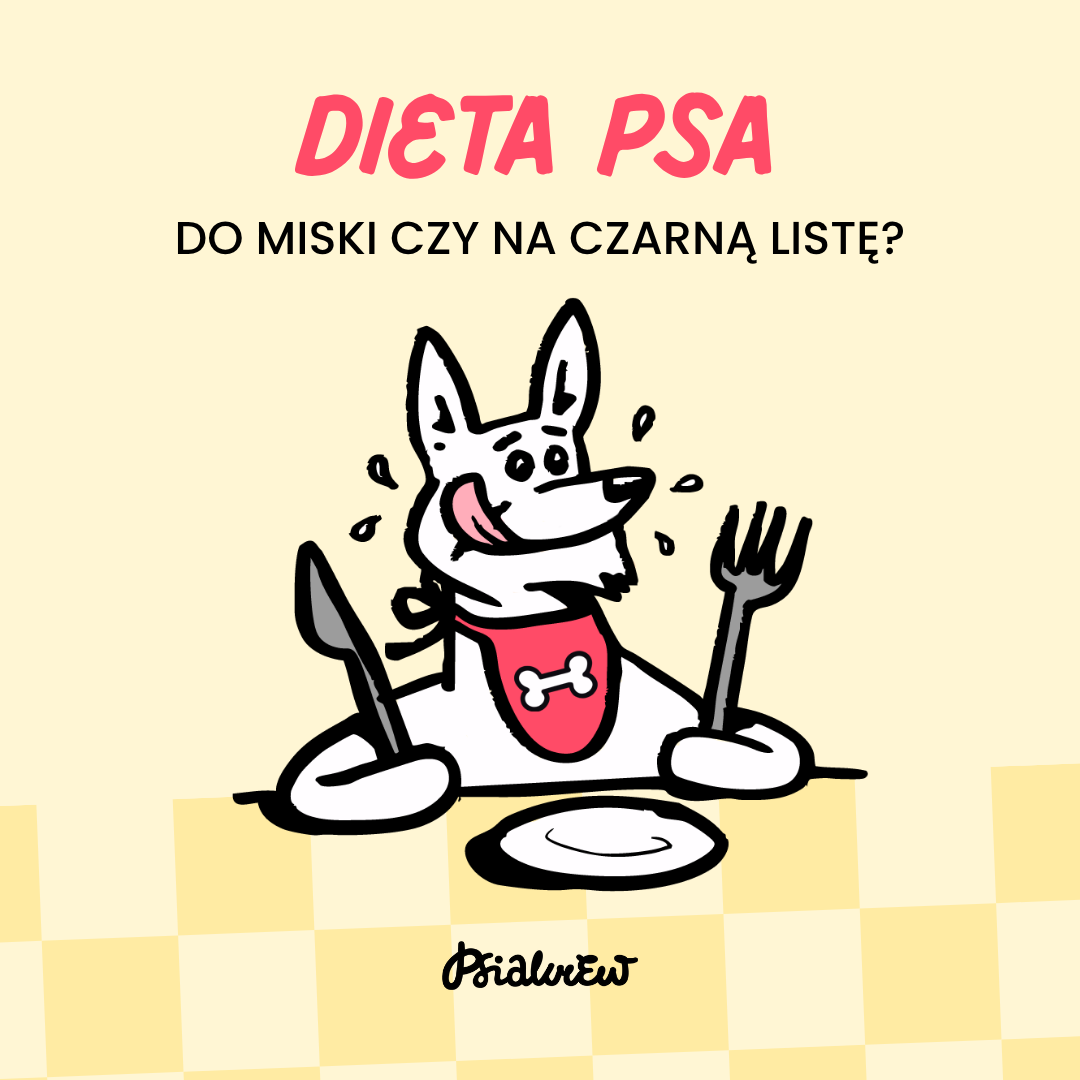 Psia Dieta - co służy a czego nigdy mu nie dawać Twojemu pupilowi?